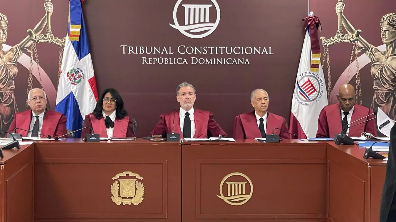 Tribunal Constitucional conoce ocho expedientes de acción directa de inconstitucionalidad