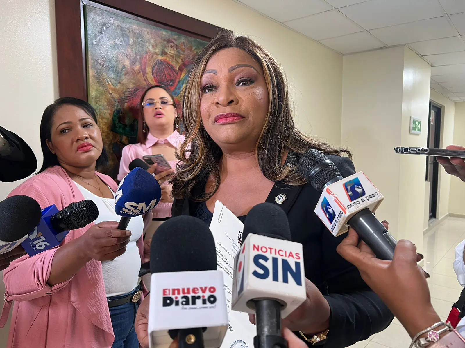 Diputada Altagracia de los Santos somete proyecto de ley crea el Ministerio del Hombre