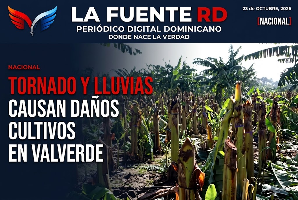 Uno de los casos más significativos corresponde a una finca de banano de exportación de 330 tareas, propiedad del productor Guarionex García, de las cuales unas 150 resultaron afectadas por la fuerza de los vientos.